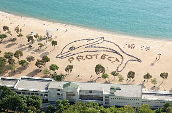 Area school taking part in aerial artwork for Kids Ocean Day Dolphin shot.jpg
