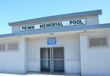 Primm POOL.jpg