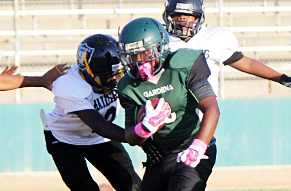 Mohican Pee Wees shut out Crenshaw; other sport stories for Oct. 16 Runner.jpg