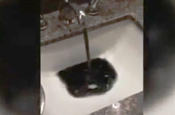 sludge water.jpg