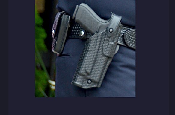 GUN.jpg