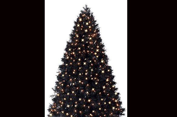Xmas Tree.jpg