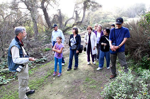 Volunteers needed for Willows Wetland workday WILLOWSONLINE.jpg