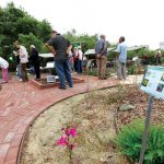 9 – Garden Mother Nature