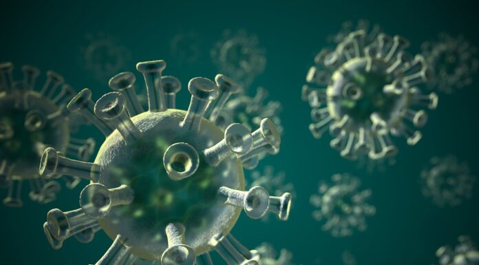 COVID numbers remain a city concern