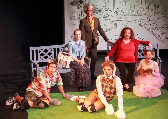 10.2.25 Go Play photo