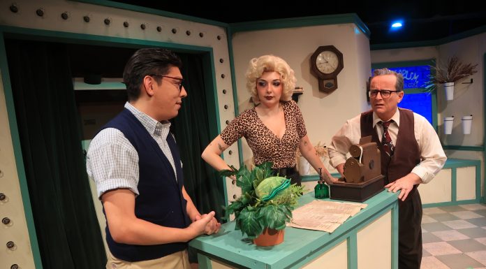 Little Shop of Horrors at Torrance Theatre Company and RIGHT at The Whitefire Theatre