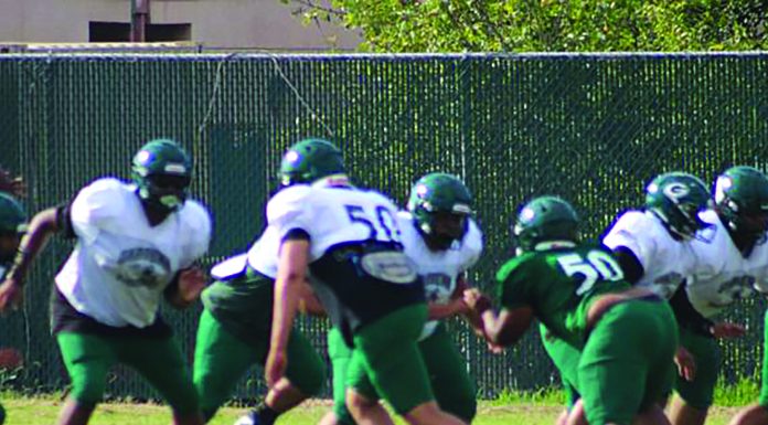 Gardena Panthers seek success despite youth