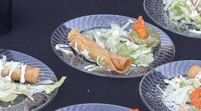 Taco Revolution caters to everyone